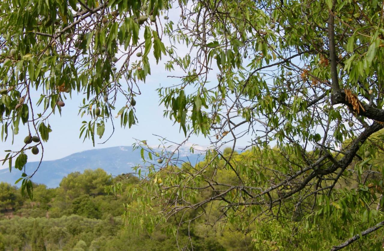 Mas De La Gonnette Βίλα Venasque Εξωτερικό φωτογραφία